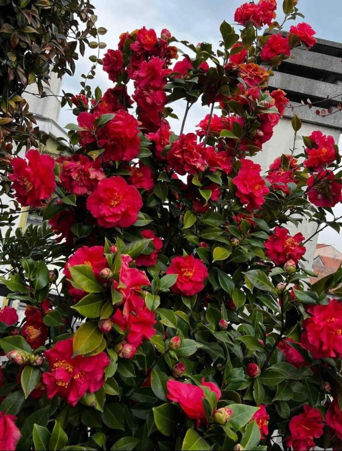 Giresio 41 - Your Penthouse With Rooftop Garden In Milano Navigli - Wifi Luaran gambar
